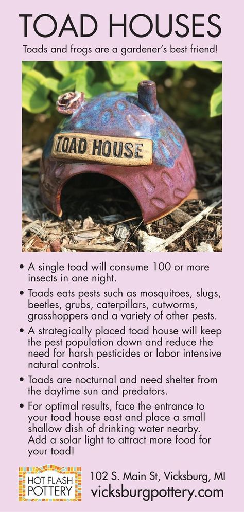 Toad House, The Pest, Unique Pottery, Hand Built Pottery, Ceramic Studio, Veggie Garden, Back To Nature, Lawn And Garden, Pesticides