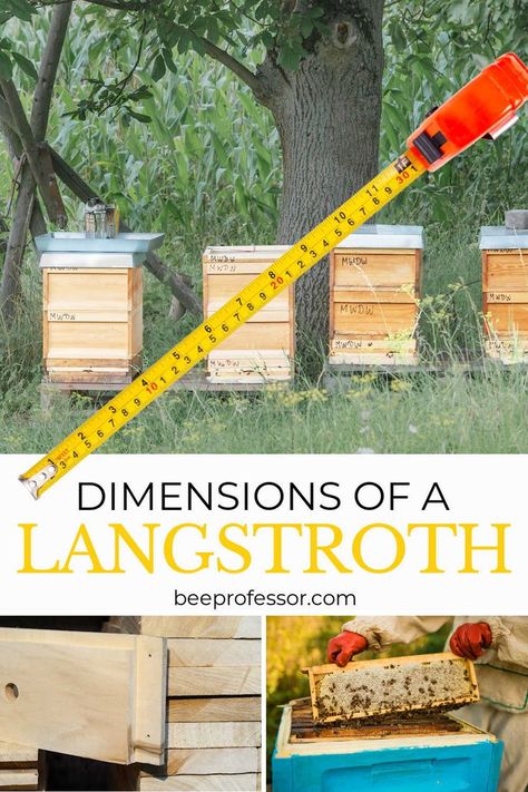 A collage of Langstroth hives Langstroth Hive Plans, Bee Keeping Hives, Bee Hives Boxes, Langstroth Hive, Bee Hive Plans, Metric Measurements, Honey Bee Hives, Bee Hives, Bee Farm