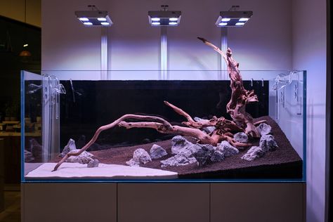 Hardscape... not too hard to scape! » Hardscape Fish Tank Ideas, Aquarium Hardscape Ideas, Aquarium Hardscape, Hardscape Aquarium, Concave Aquascape, Axolotl Tank, Amano Aquascape, Seiryu Stone Aquascape, 40 Gallon Breeder Aquascape