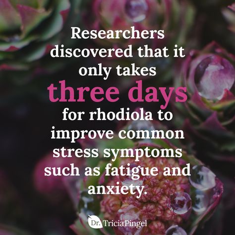 Rhodiola Benefits, Adaptogenic Herbs, Alkaline Diet, Adrenal Fatigue, Sea Moss, Holistic Living, Medicinal Herbs, Health Matters, Natural Living