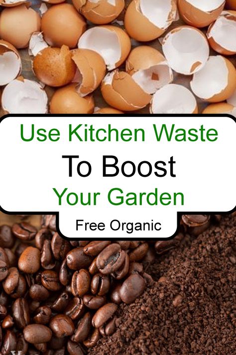 Using kitchen waste to aid in the enrichment of your garden's soil is not a new concept. In fact it is the main principle behind composting. This article will focus on what common household waste can be used as super additives to your soil! To check out our similar article on general natural additives to your soil.   C Zero Waste Gardening, Plant Advice, Soil Enrichment, Garbage Waste, Diy Compost, Vegetable Scraps, Vegetable Harvest, Kitchen Scraps, Coconut Bowls