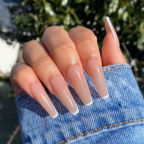 Luxe Nails, Long Acrylic Nail Designs, Ombre Acrylic Nails, Cute Acrylic Nail Designs, Simple Acrylic Nails, Blush Nails, Coffin Shape Nails, Long Acrylic Nails Coffin, Long Square Acrylic Nails