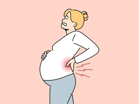 Unwell pregnant woman suffer from backache. Unhealthy exhausted female with big belly tired with pregnancy have pain at lower back. Vector illustration. Pregnancy Back Pain, Big Belly, Couple Painting, Lower Back, Pregnant Women, Back Pain, Vector Illustration, Clip Art