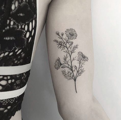 Camomile Flower Tattoo, Camomile Tattoo, Chamomile Tattoo, Herb Tattoo, Happy Wednesday Everyone, Small Flower Tattoos, Fine Line Tattoos, Happy Wednesday, Flower Tattoos