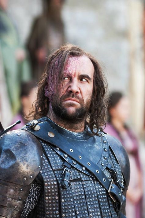 Hound Game Of Thrones, Game Of Thrones Wallpaper, Sandor Clegane, Rory Mccann, Game Of Thrones Facts, Game Of Thrones Series, Ned Stark, Game Of Thrones Tv, Got Characters