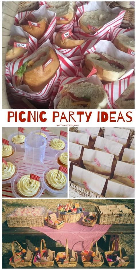 Kids Picnic Parties, Picnic Party Ideas, Graduation Picnic, Picnic Party Food, Picnic Themed Parties, Indoor Picnic, Picnic Birthday Party, Kids Picnic, Picnic Theme