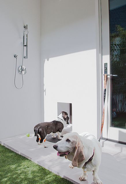 Outdoor shower right next to the doggy door - they have thought of everything. Best Dog Door, Pet Washing Station, Dog Room Decor, Outside Dogs, Dog Washing Station, Pet Doors, Mudroom Design, Dog Wash, Dog Shower