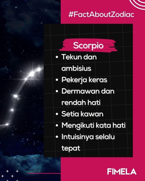 Zodiak Scorpio kumpul yuk~ ♏✨⁣ Ini dia beberapa fakta tentang Zodiak Scorpio!⁣ _⁣ #Zodiac #Zodiak #FactAboutZodiac #FaktaZodiak #Scorpio #Fimela #Fimeladotcom #UnlockingTheLimitless #FMLCN #MSIB Scorpio Zodiac, Instagram Feed, Instagram