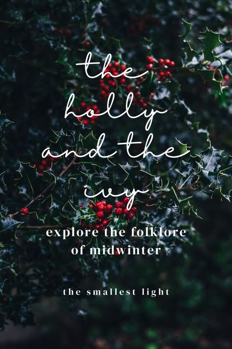 The Holly and the Ivy – what is the festive folklore behind our Christmas greenery? I’ve been burrowing into the fables and folk tales of our much-beloved winter and Christmas greenery – the holly, the ivy, the mistletoe, the yew. I can’t do it all justice in one blog post but I’ve pulled a few threads and woven a short round-up of the stories behind some of our favourite midwinter flora. Read the full blog post here. Legends Of Christmas, The Holly And The Ivy, Christmas Folklore, Winter Solstice Traditions, Holly And The Ivy, Holly And Ivy, Yule Celebration, Seasonal Living, Winter Greenery