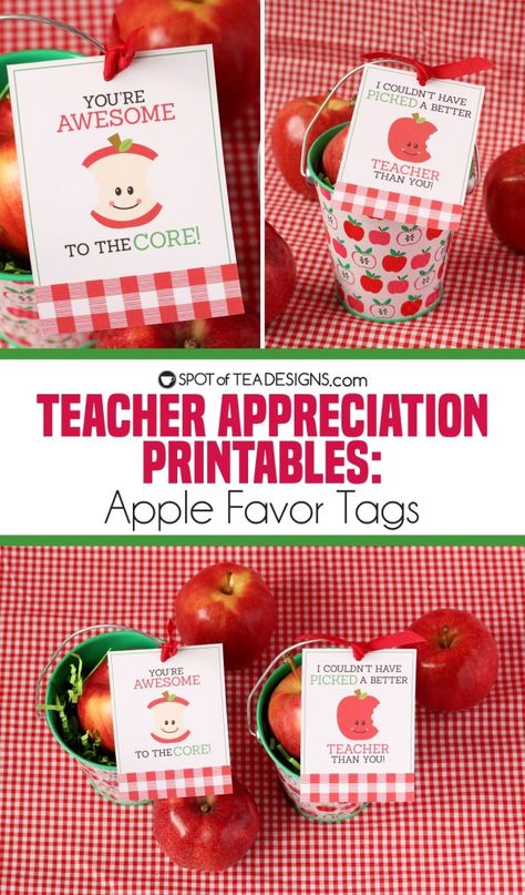 Teacher Appreciation Apple Tags, Apple For Teacher Printable, Apple Themed Teacher Appreciation Gifts, Caramel Apple Gift Tags, Apples For Teachers, Apple Teacher Appreciation Printable, Teacher Appreciation Gifts Apple, Teacher Appreciation Apple Bar, Apple Of My Eye Teacher Appreciation