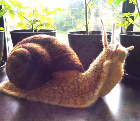 I Create Lifelike Needle-Felted Animal Sculptures Felt Needling, Needle Felting 2d, Needle Felted Snail, Needle Felting Ideas, Needle Felted Snake, Needle Felted Snail Tutorial, Needle Felting Realistic, Wool Felting Animals, Needle Felted Bugs