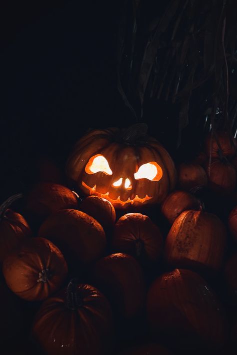 Jack O Lantern Aesthetic Wallpaper, Dark Pumpkin Aesthetic, Orange And Black Halloween Aesthetic, Halloween Tapeta, Fall Dark Wallpaper, Halloween Dark Wallpaper, Halloween Asthetic Picture, Halloween Pumpkins Aesthetic, Spooky Lockscreen Aesthetic