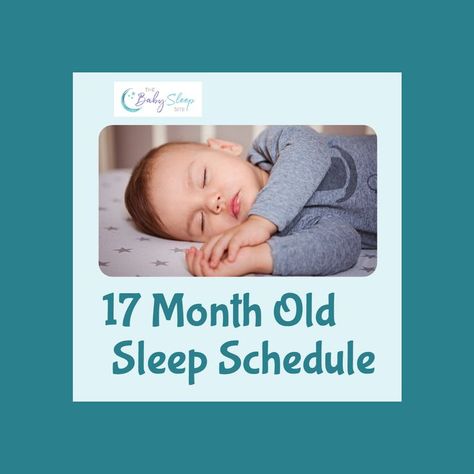 17 Month Old Sleep Schedule Toddler Sleep, Sleeping Through The Night, Sleep Schedule, Sleep Tips, Night Sleep, Baby Sleep, To Sleep, Sleep