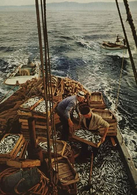 Fisherman Aesthetic, Dark Nautical Aesthetic, Sailor Aesthetic, Vintage Fisherman, Nautical Aesthetic, Sea Shanties, Old Sailing Ships, Lighthouse Keeper, Vintage Sailor