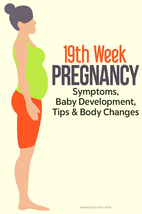 19th Week #Pregnancy: Symptoms, Baby #Development, Tips And Body Changes: Congratulatons ! You're 19 weeks pregnant now you're halfway there! Many critical changes take place within both systems. Learn what's happening at week 19. #prengnancy #pregnancycare 19 Weeks Pregnant Belly, Pregnancy Symptoms By Week, Twin Pregnancy Belly, 19 Weeks Pregnant, Weeks Of Pregnancy, Baby Development Activities, Pregnancy Facts, Pregnancy First Trimester, Early Pregnancy Signs