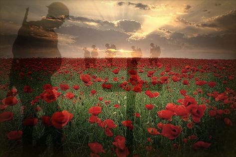 Flanders Field Poppies, Remembrance Day Pictures, Memorial Day Message, Remembrance Day Activities, Remembrance Day Art, Soldier Silhouette, Remembrance Day Poppy, Remembrance Poppy, Flanders Field