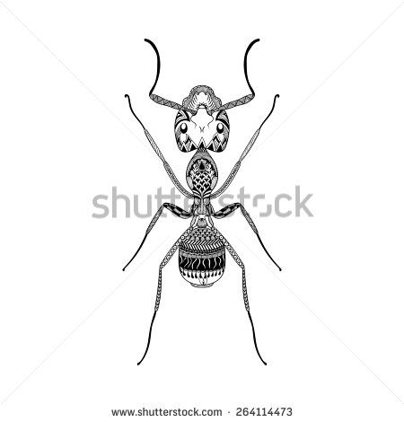 Ant Tattoo Design, Black And White Bug Drawing, Sketch For Tattoo, Ant Insect Sketches, Fly Sketch Insect, Black Ants, Moth Illustration Black And White, Insect Collection, Insect Art