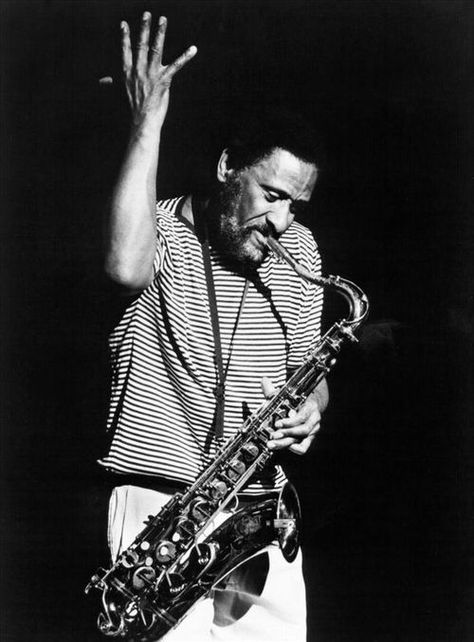 Jazz Saxophonist, Jazz Cat, Sonny Rollins, Saxophones, Free Jazz, Blues Musicians, Jazz Artists, Cool Jazz, Jazz Funk