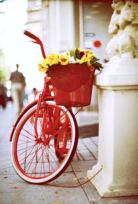 Red Bicycle Planter Ideas, Bicycle Planter, Bicycle Aesthetic, Red Bicycle, Red Bike, Bicycle Decor, Spring Red, Retro Bike, Red Cottage