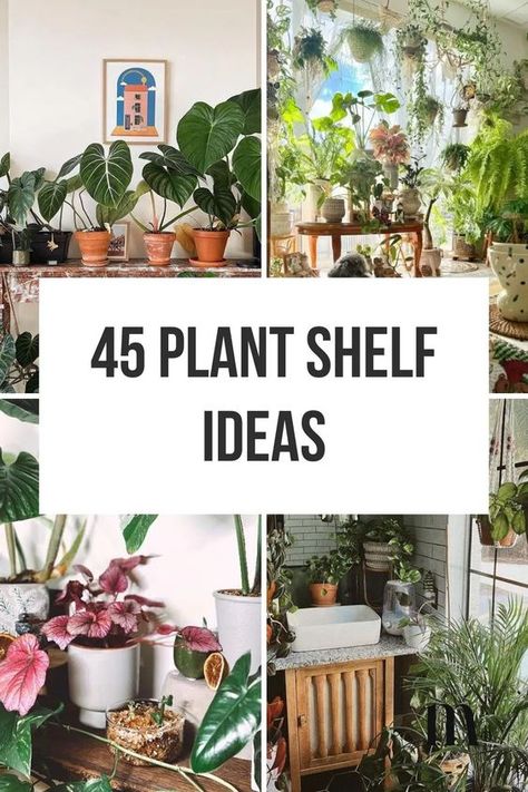 Plant Shelf Ideas: 35+ Creative Ways To Display Plants Indoor Plants Decor Bedroom Shelves, Plants On Credenza, Houseplants Small Spaces, Plants Sliding Glass Door, Succulent Shelves Indoor, Plant Wall Small Space, Indoor Plant Shelves Wall, Wall Shelf For Plants Indoor, Diy Shelf For Plants Indoor