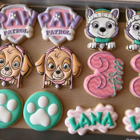 Frosted Cookies Paw Patrol Design | Cakes by Allie on Instagram: "🐾 🐾🐾" Skye Paw Patrol Cookies, Paw Patrol Cookies Girl, Paw Patrol Cookies Decorated, Galletas Paw Patrol, Skye Birthday Party, Paw Patrol Design, Skye Paw Patrol Party, Paw Patrol Skye Birthday, Paw Patrol Cookies