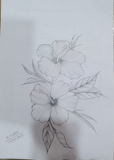 Hibiscus Sketch Drawing, Hibiscus Drawing Simple, Hibiscus Flower Drawing Simple, Hibiscus Flower Sketch, Bambu Art, Hibiscus Sketch, Rose Flowers Drawing, Decoration Craft Ideas, Hibiscus Drawing