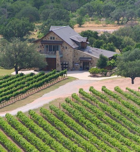 Mediterranean Vineyard, Texas Vineyard, Burnet Texas, Texas Winery, Texas Wineries, Texas Places, Wine Vineyards, Marble Falls, Texas Travel