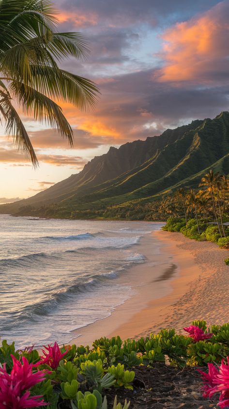 Oahu travel tips for finding the best places to watch the sunset, including Sunset Beach Oahu. Oahu Hawaii Activities, Honolulu City, Sunsets Hawaii, Hawaii Activities, Oahu Beaches, Oahu Vacation, Hawaii Holiday, Oahu Travel, Hawaii Things To Do