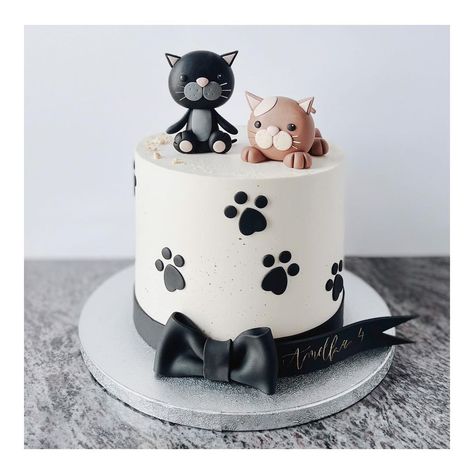 Torty Śląsk Małopolska (@pracownia.mojamilosc) posted on Instagram: “aaa kotki dwa 🐈‍⬛🐈 #cat #cats #cakecat #cakegirl #cakeboy #tortzkotkiem #tortkotek #catcake #cake #tort #birthdaycakeideas #birthdaycake…” • Feb 3, 2022 at 2:30pm UTC Kitten Cake, Birthday Cake For Cat, 8th Birthday Cake, Surprise Cake, Cupcake Decorating Tips, Bow Cakes, Animal Cakes, Cat Cake, Personalized Cakes