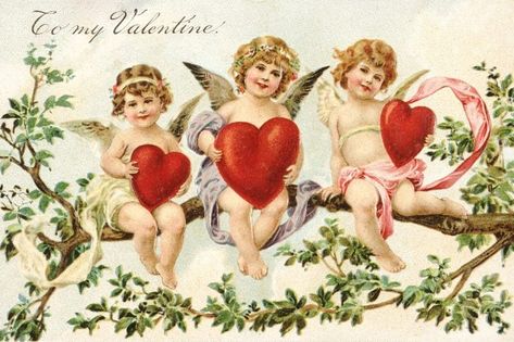 What Is Valentine, Valentines Day History, Valentine History, Valentine Postcards, Tree Quilt, Digital Print Fabric, Vintage Collectibles, Creative Activities, Vintage Cards