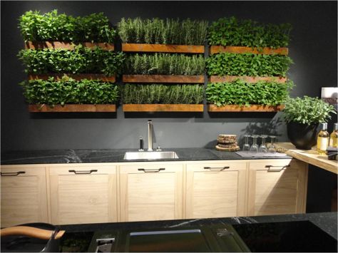 Big Ideas for Micro Living: Trending in North America | Tara Campbell Plants On The Wall, Micro Living, Micro Garden, Indoor Vegetables, Herb Wall, Herb Garden In Kitchen, Small Terrace, Vertical Garden Wall, Vertical Herb Garden