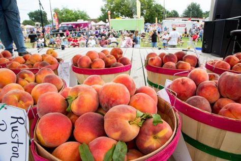 This Charming Peach Festival In Oklahoma Is The Perfect Answer To Summer Peach Festival, Oklahoma Travel, Cooking Contest, Oklahoma History, Hiking Spots, Running 5k, Parade Float, Small Waterfall, Civic Center