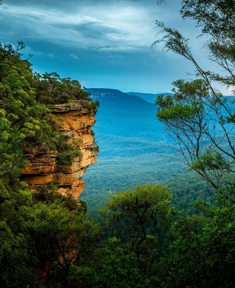 🏞️ #BlueMountainsAustralia 🏔️ Sandstone cliffs and bushland valleys of Blue Mountains Australia. Australia Mountains, Blue Mountains Australia, Mountain Valley, Blue Mountains, Explore Nature, Blue Mountain, Australia Travel, Cambodia, Landscape Paintings