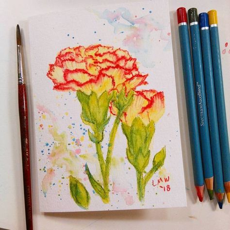 Pencil Project, Watercolor Pencils Techniques, The Frugal Crafter, Watercolor Pens, Watercolor Doodle, Watercolor Pencil Art, Colour Flowers, Watercolour Pencils, Water Color Pencil