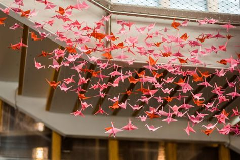 Paper Crane Wedding Display: Fun Whimsical Wedding from Sky's the Limit Photography featured on Burgh Brides Paper Crane Ceiling, Paper Crane Wedding, Ceiling Paper, Confetti Bars, Wedding Display, Letterpress Invitations, Wedding Tent, Paper Crane, Childrens Museum