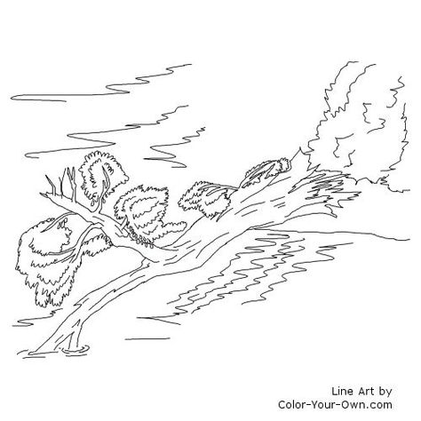 Fallen Tree over a Stream Coloring Page Fallen Tree Drawing, Black And White Line Drawings, Fallen Tree, Line Drawings, Black And White Lines, White Line, Tree Drawing, Autumn Trees, Coloring Pages For Kids