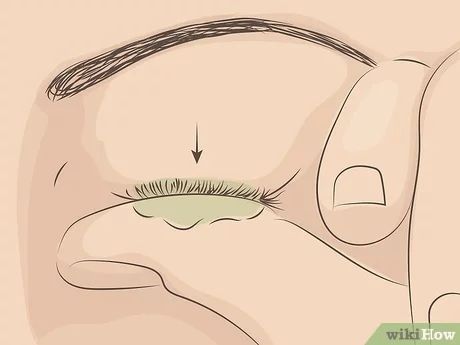 4 Ways to Curl Your Eyelashes Without an Eyelash Curler - wikiHow How To Curl Eyelashes Without Mascara, How To Get Curled Eyelashes, Curl Lashes Tips, Curly Eyelashes Naturally, Makeup Without Eyelashes, Mascara Without Curling, How To Curl Your Eyelashes Naturally, How To Curl Straight Lashes, Diy Eyelash Curler