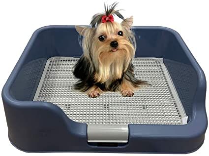 Amazon.com: [DogCharge] Indoor Dog Potty Tray – With Protection Wall Every Side For No Leak, Spill, Accident - Keep Paws Dry And Floors Clean! 100% Satisfaction (Blue): Pet Supplies Indoor Dog Potty, Dog Litter Box, Potty Pads, Dog Potty Training, Dog Potty, Potty Training Puppy, Puppy Pads, Puppy Paws, Indoor Dog