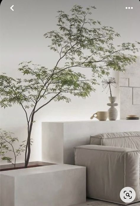 Wood And Plant Interior Design, Plant As Room Divider, Japandi Tree Indoor, Japandi Hanging Plants, Japandi Interior Plants, Indoor Plants Minimalist, Bonsai Tree Decor Living Room, Japandi Indoor Plants, Plant Room Divider