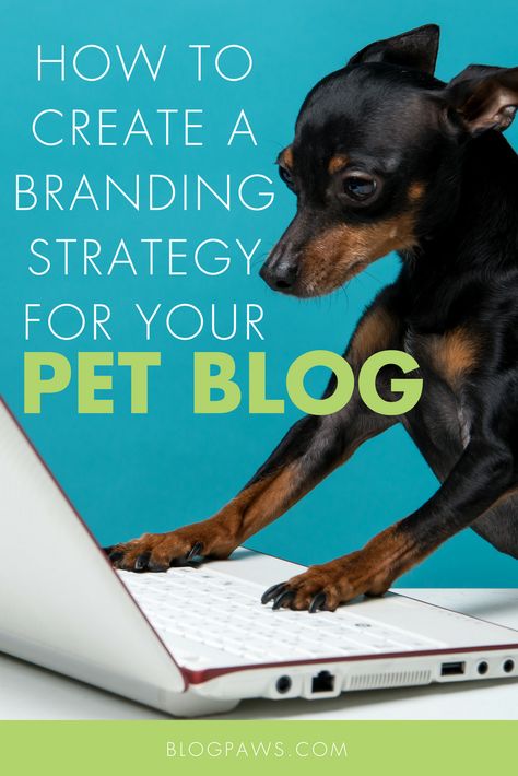 So how does a pet blogger create a branding strategy? In this post, I’ll share with you the tops tips on how to create a branding strategy for your pet blog. Pet Blog Post Ideas, Great Small Business Ideas, Pet Influencer, Pet Care Business, Branding Checklist, Insta Famous, Dogs Instagram, Blog Post Topics, Pretty Logo