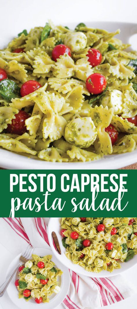 Pesto Feta Pasta Salad, Pesto Caprese Pasta, Jimmy John’s Pesto Pasta Salad Recipe, Caprese Pesto Pasta Salad, Pesto Noodle Salad, Easy Pesto Pasta Salad Recipes, Creamy Caprese Pasta Salad, Orichette Pasta Salad, Pasta Pesto Salad Recipes