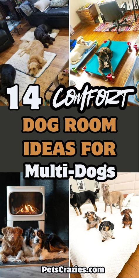 "Image shows four dog room ideas for multiple dogs, labeled '14 Comfort Dog Room Ideas for Multi-Dogs' with cozy and practical setups. The designs include comfortable bedding, elevated cots, organized storage, and warm living room spaces. The featured theme emphasizes functional, stylish, and harmonious layouts suitable for multi-dog households." Dog Room For Multiple Dogs, Dog Area In Basement, Built In Tv Wall Unit With Dog Bed, Dog Rooms In House Bedrooms, Multi Dog Household, Dog Day Care Interior Design, Dog Bedroom Ideas Small Spaces, Dog Room Ideas Indoor, Pet Organization Ideas