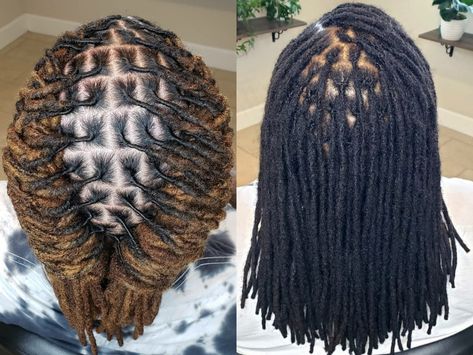 Interlocking Locs Styles, Palm Rolled Starter Locs, Palm Rolled Micro Locs, Palm Rolled Locs, Interlock Locs, Palm Rolling Locs, Loc Process, Interlocking Locs Starter, Interlocked Locs