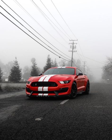 Shelby GT350 painted in Racing Red w/ White central racing stripes   Photo taken by: @rrgy350 on Instagram   Owned by: @rrgt350 on Instagram Red Muscle Cars, Mustang Gt Red, Mustang Stripes, Mustang Gt 350, Sports Cars Mustang, Ford Mustang Wallpaper, Cars Mustang, Mustang Gt350, Red Mustang