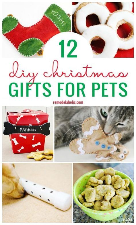 Christmas time is a great time to let your pets know you care. Create on of these 12 DIY Christmas Gifts for Pets to let them know you love them featured on Remodelaholic.com Diy Dog Gifts Christmas, Ella Bella, Cat Tips, Christmas Gifts For Pets, Dog Things, Holiday Dog, Homemade Cat, Dog Christmas Gifts, Animal Projects