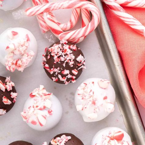 Peppermint Oreo Balls Christmas Oreo Balls, Oreo Recipes Easy, Oreo Balls Christmas, Christmas Oreo, Oreo Balls Recipe, Cream Cheese Oreo, Oreo Cookie Balls, Cake Ball Recipes, Candy Wafers