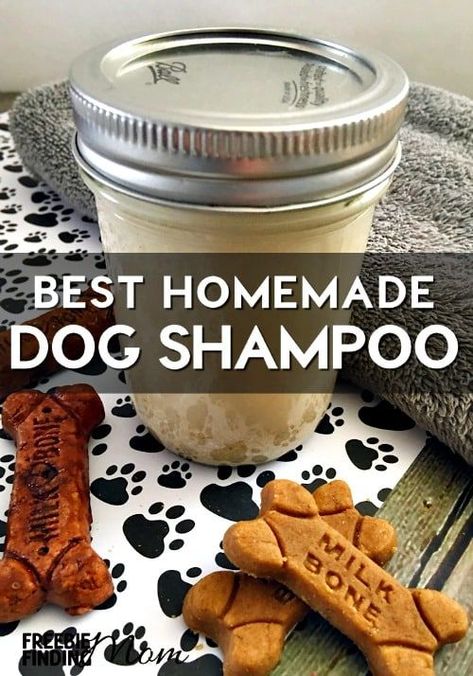 Best Homemade Dog Shampoo: All Natural Oatmeal Dog Shampoo Diy Dog Shampoo, Homemade Dog Shampoo, Dogs Treats, Oatmeal Dog Shampoo, Dog Remedies, Dry Itchy Skin, Dog Care Tips, Dog Shampoo, Dog Recipes