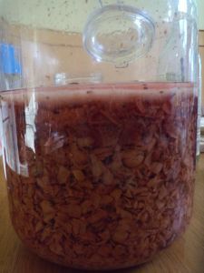 Home-Grown Vinegar | Overall Gardener Make Vinegar, Grape Vinegar, How To Make Vinegar, Ice Cube Trays, Fermenting, On Board, Food Network Recipes, Vinegar, Dog Food Recipes