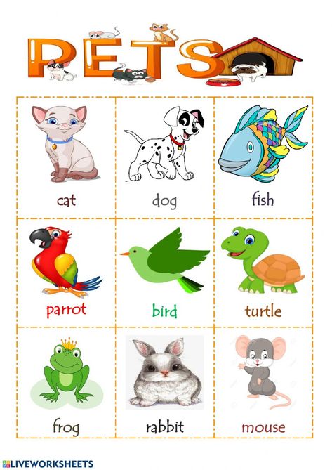 Pets online worksheet for Grade 2. You can do the exercises online or download the worksheet as pdf. Pictures Of Pets, Pet Picture, Pets Pictures, My Pet, Preschool Pets Activities, Pet Animals Chart, Animals For Preschool, Pets For Kids, Pet Pictures