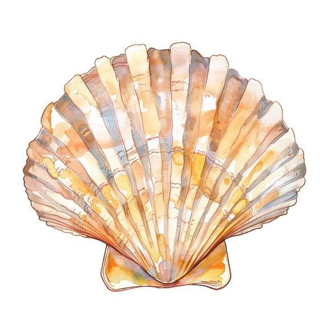 Detailed watercolor seashell illustration | free image by rawpixel.com / Pinn Watercolour Seashell, Seashells Painting, Shell Watercolor, Watercolor Shells, Sea Shell Illustration, Seashell Watercolor, Watercolor Seashells, Seashell Illustration, Shell Drawing